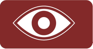 Vision ojo